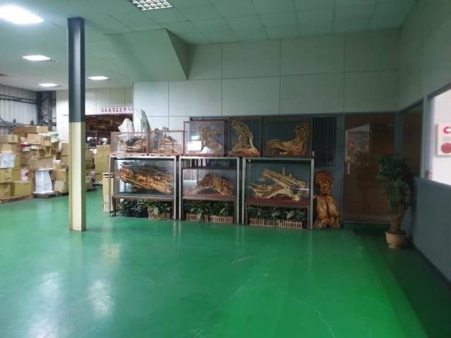新北新莊廠房-0