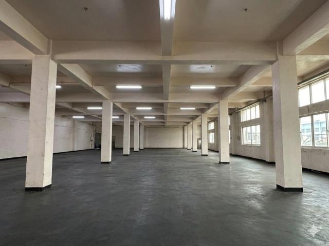 桃園八德廠房-1